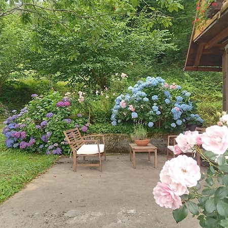 Holiday Home Vesna Brod na Kupi Exteriör bild