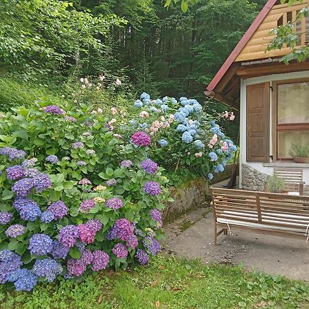 Holiday Home Vesna Brod na Kupi Exteriör bild