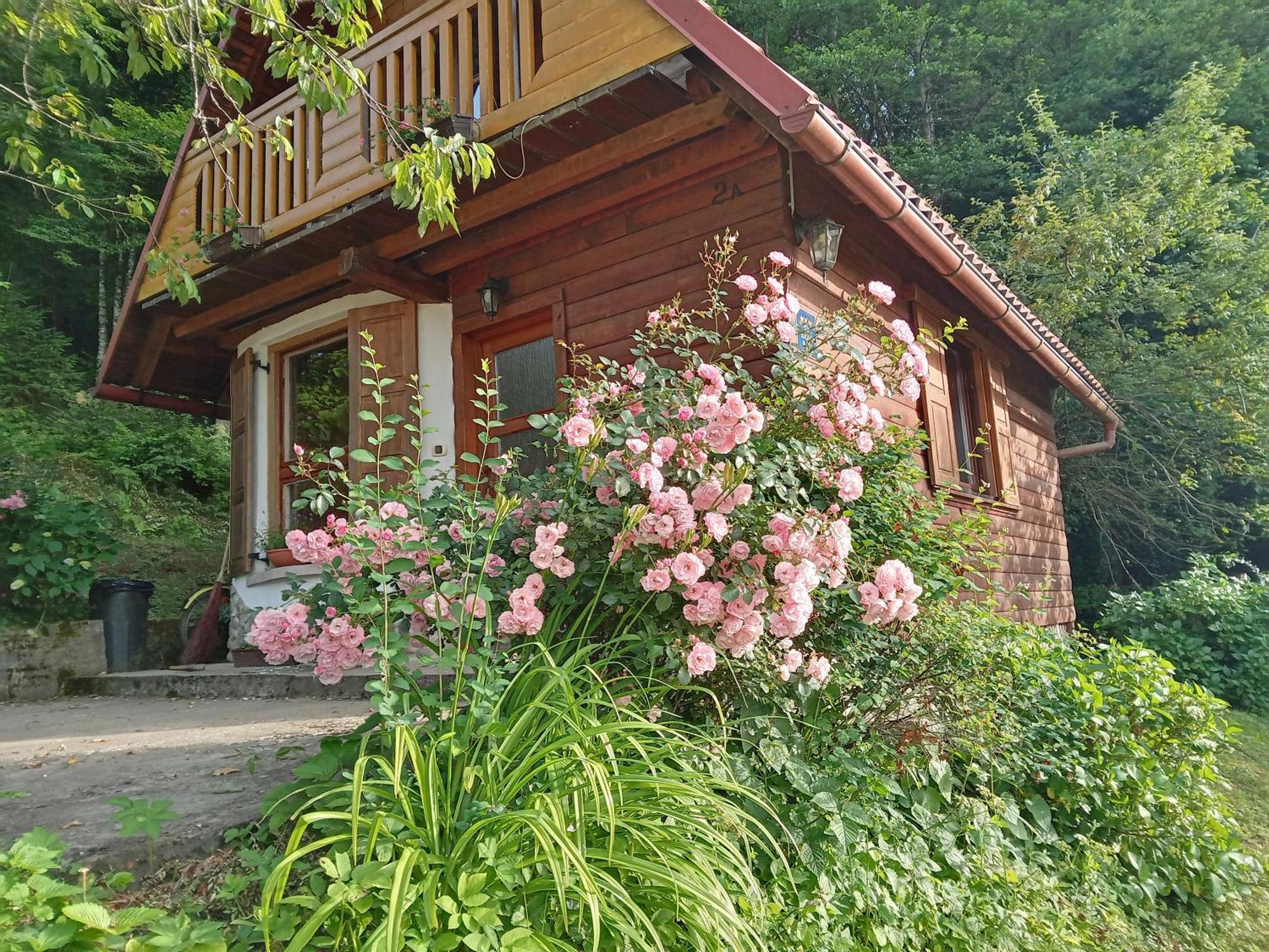 Holiday Home Vesna Brod na Kupi Exteriör bild