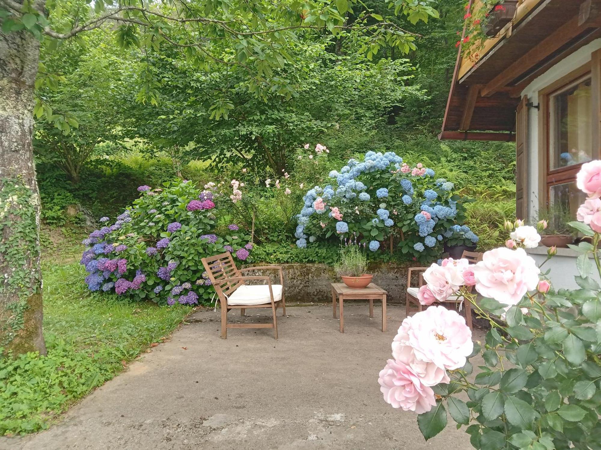 Holiday Home Vesna Brod na Kupi Exteriör bild