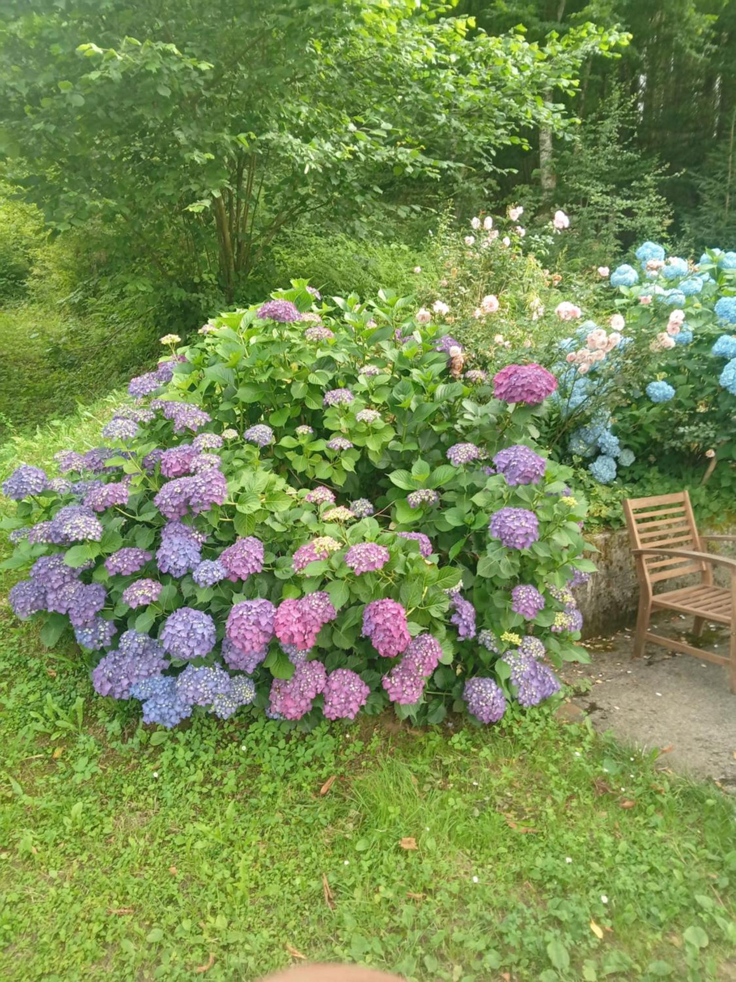 Holiday Home Vesna Brod na Kupi Exteriör bild