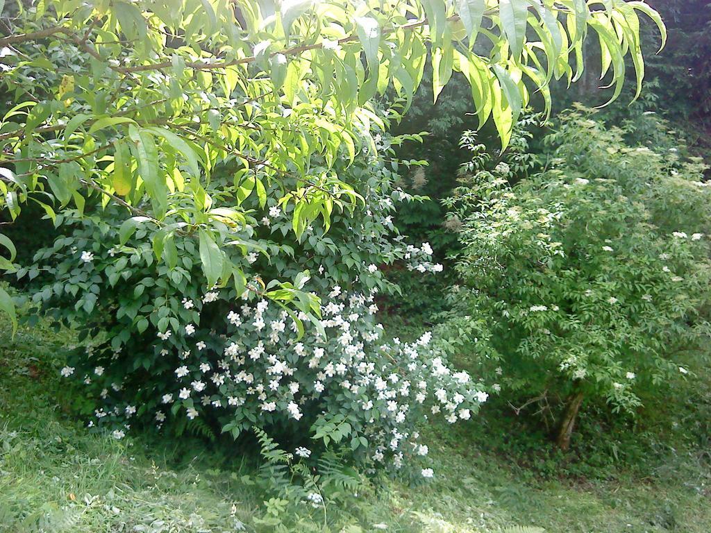 Holiday Home Vesna Brod na Kupi Rum bild
